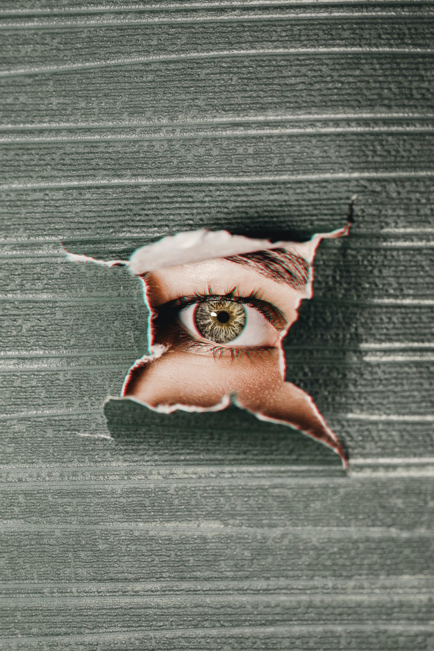 THE GIFT OF SIGHT