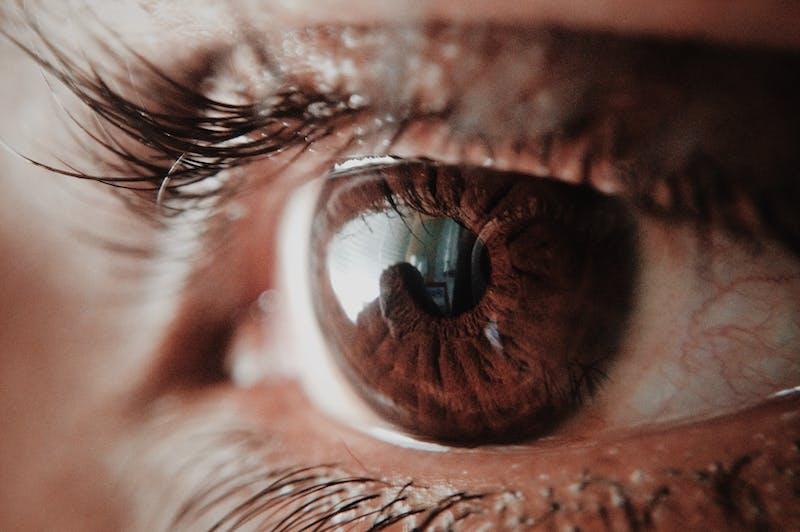 QUÉ ATRACCIÓN TIENEN LAS LENTES TORICAS?